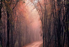 皇马仅第二！五大联赛总身价排行榜，巴萨冲进前五，曼联第十.