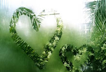 PG娱乐官网：罗伊斯：贝林厄姆有卓越的天赋和一颗大心脏，多特人都爱他.