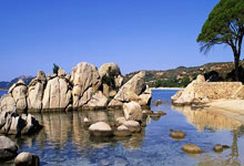 [国内]武磊等缺阵何解？赔率数据再度看衰国足客战.